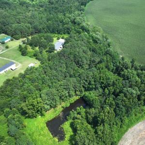 Photo #16 of Off Fox Run Drive, Pikeville, NC 1.9 acres