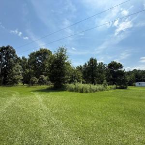 Photo #21 of Off Fox Run Drive, Pikeville, NC 1.9 acres