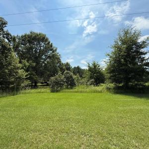 Photo #22 of Off Fox Run Drive, Pikeville, NC 1.9 acres