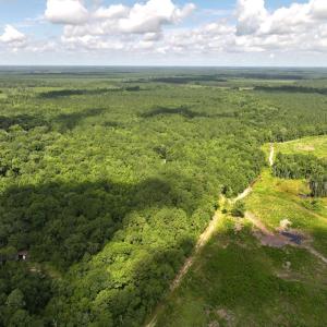 Photo #10 of Off of Lewis Coombs Ln, Trenton, NC 26.8 acres