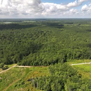 Photo #12 of Off of Lewis Coombs Ln, Trenton, NC 26.8 acres
