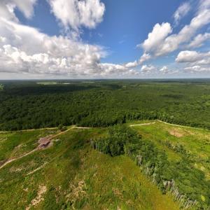 Photo #13 of Off of Lewis Coombs Ln, Trenton, NC 26.8 acres