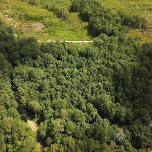 Photo #14 of Off of Lewis Coombs Ln, Trenton, NC 26.8 acres