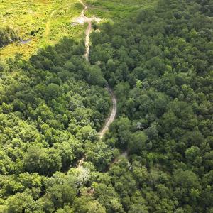 Photo #15 of Off of Lewis Coombs Ln, Trenton, NC 26.8 acres