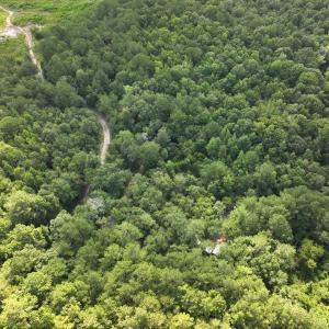 Photo #16 of Off of Lewis Coombs Ln, Trenton, NC 26.8 acres
