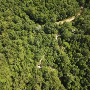 Photo #18 of Off of Lewis Coombs Ln, Trenton, NC 26.8 acres