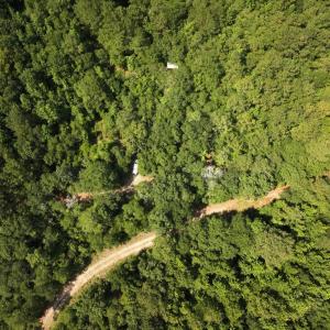 Photo #19 of Off of Lewis Coombs Ln, Trenton, NC 26.8 acres