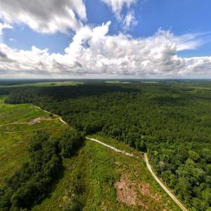 Photo #1 of Off of Lewis Coombs Ln, Trenton, NC 26.8 acres