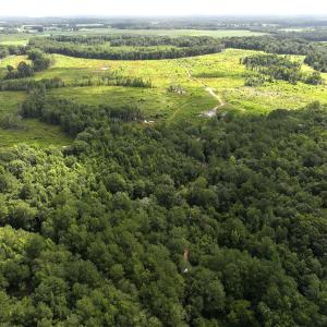 Photo #2 of Off of Lewis Coombs Ln, Trenton, NC 26.8 acres