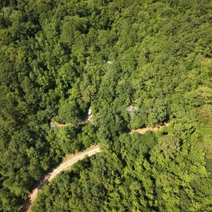 Photo #20 of Off of Lewis Coombs Ln, Trenton, NC 26.8 acres