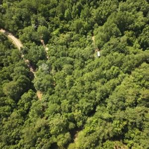 Photo #21 of Off of Lewis Coombs Ln, Trenton, NC 26.8 acres