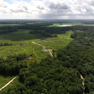 Photo #23 of Off of Lewis Coombs Ln, Trenton, NC 26.8 acres