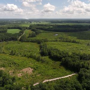 Photo #24 of Off of Lewis Coombs Ln, Trenton, NC 26.8 acres