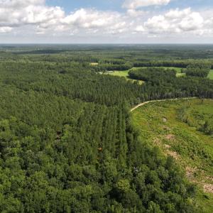 Photo #25 of Off of Lewis Coombs Ln, Trenton, NC 26.8 acres