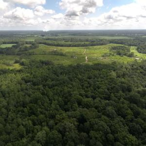 Photo #3 of Off of Lewis Coombs Ln, Trenton, NC 26.8 acres