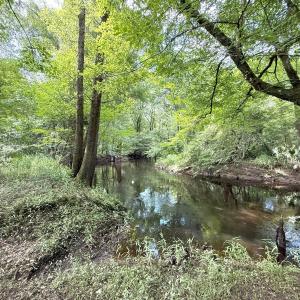 Photo #37 of Off of Lewis Coombs Ln, Trenton, NC 26.8 acres