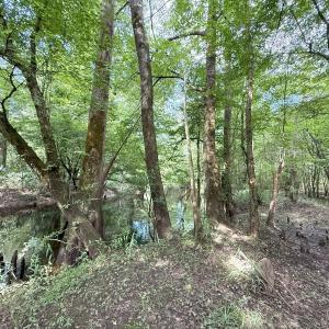 Photo #38 of Off of Lewis Coombs Ln, Trenton, NC 26.8 acres