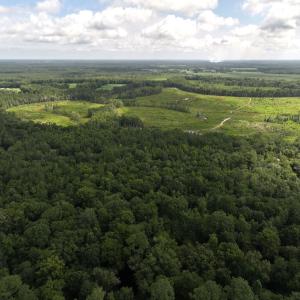Photo #4 of Off of Lewis Coombs Ln, Trenton, NC 26.8 acres