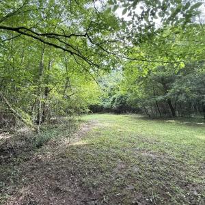 Photo #39 of Off of Lewis Coombs Ln, Trenton, NC 26.8 acres