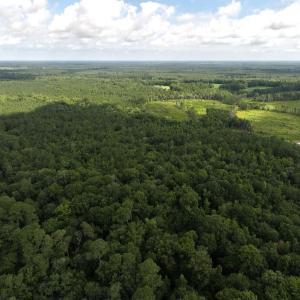 Photo #5 of Off of Lewis Coombs Ln, Trenton, NC 26.8 acres