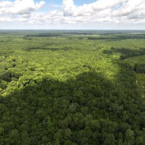 Photo #8 of Off of Lewis Coombs Ln, Trenton, NC 26.8 acres