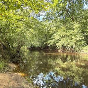 Photo #43 of Off of Lewis Coombs Ln, Trenton, NC 26.8 acres
