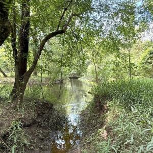 Photo #45 of Off of Lewis Coombs Ln, Trenton, NC 26.8 acres