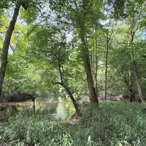 Photo #51 of Off of Lewis Coombs Ln, Trenton, NC 26.8 acres