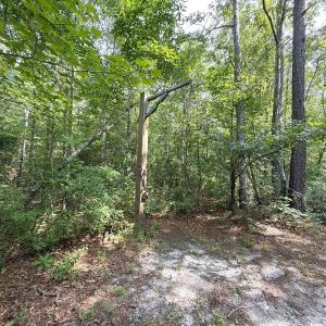 Photo #56 of Off of Lewis Coombs Ln, Trenton, NC 26.8 acres