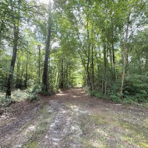 Photo #57 of Off of Lewis Coombs Ln, Trenton, NC 26.8 acres