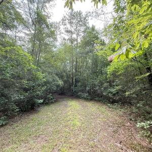 Photo #59 of Off of Lewis Coombs Ln, Trenton, NC 26.8 acres