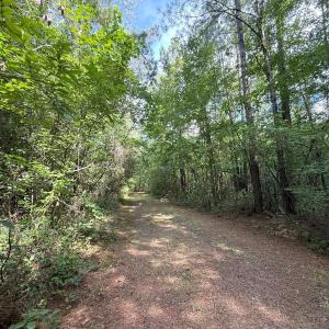 Photo #61 of Off of Lewis Coombs Ln, Trenton, NC 26.8 acres