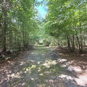Photo #62 of Off of Lewis Coombs Ln, Trenton, NC 26.8 acres