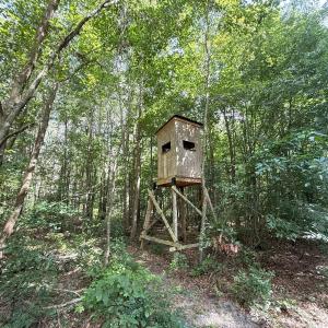 Photo #63 of Off of Lewis Coombs Ln, Trenton, NC 26.8 acres