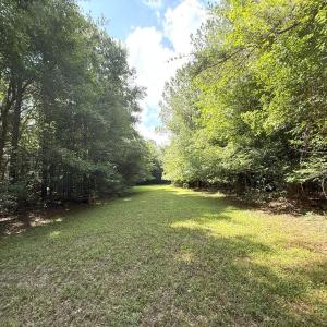 Photo #64 of Off of Lewis Coombs Ln, Trenton, NC 26.8 acres