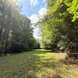 Photo #65 of Off of Lewis Coombs Ln, Trenton, NC 26.8 acres