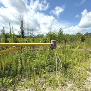 Photo #66 of Off of Lewis Coombs Ln, Trenton, NC 26.8 acres