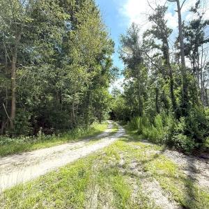Photo #67 of Off of Lewis Coombs Ln, Trenton, NC 26.8 acres