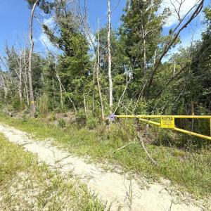 Photo #68 of Off of Lewis Coombs Ln, Trenton, NC 26.8 acres