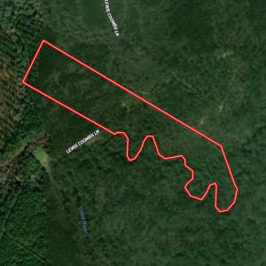 Photo #70 of Off of Lewis Coombs Ln, Trenton, NC 26.8 acres