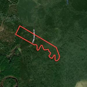 Photo #71 of Off of Lewis Coombs Ln, Trenton, NC 26.8 acres