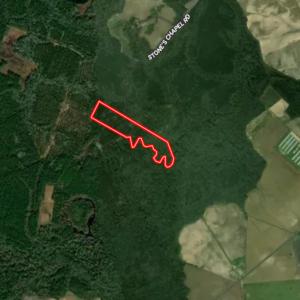 Photo #72 of Off of Lewis Coombs Ln, Trenton, NC 26.8 acres