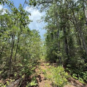 Photo #33 of Off Carolina Shores , Bath, NC 5.9 acres