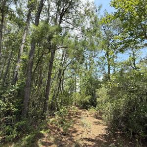 Photo #34 of Off Carolina Shores , Bath, NC 5.9 acres