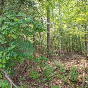 Photo #24 of Off Stone Drive, Roxboro, NC 40.8 acres