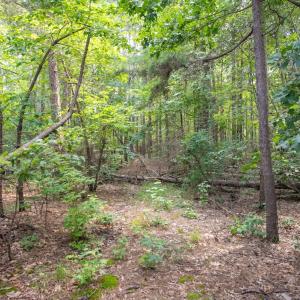 Photo #25 of Off Stone Drive, Roxboro, NC 40.8 acres