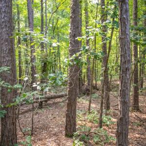 Photo #26 of Off Stone Drive, Roxboro, NC 40.8 acres