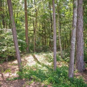 Photo #31 of Off Stone Drive, Roxboro, NC 40.8 acres