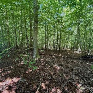 Photo #34 of Off Stone Drive, Roxboro, NC 40.8 acres
