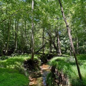 Photo #41 of Off Stone Drive, Roxboro, NC 40.8 acres